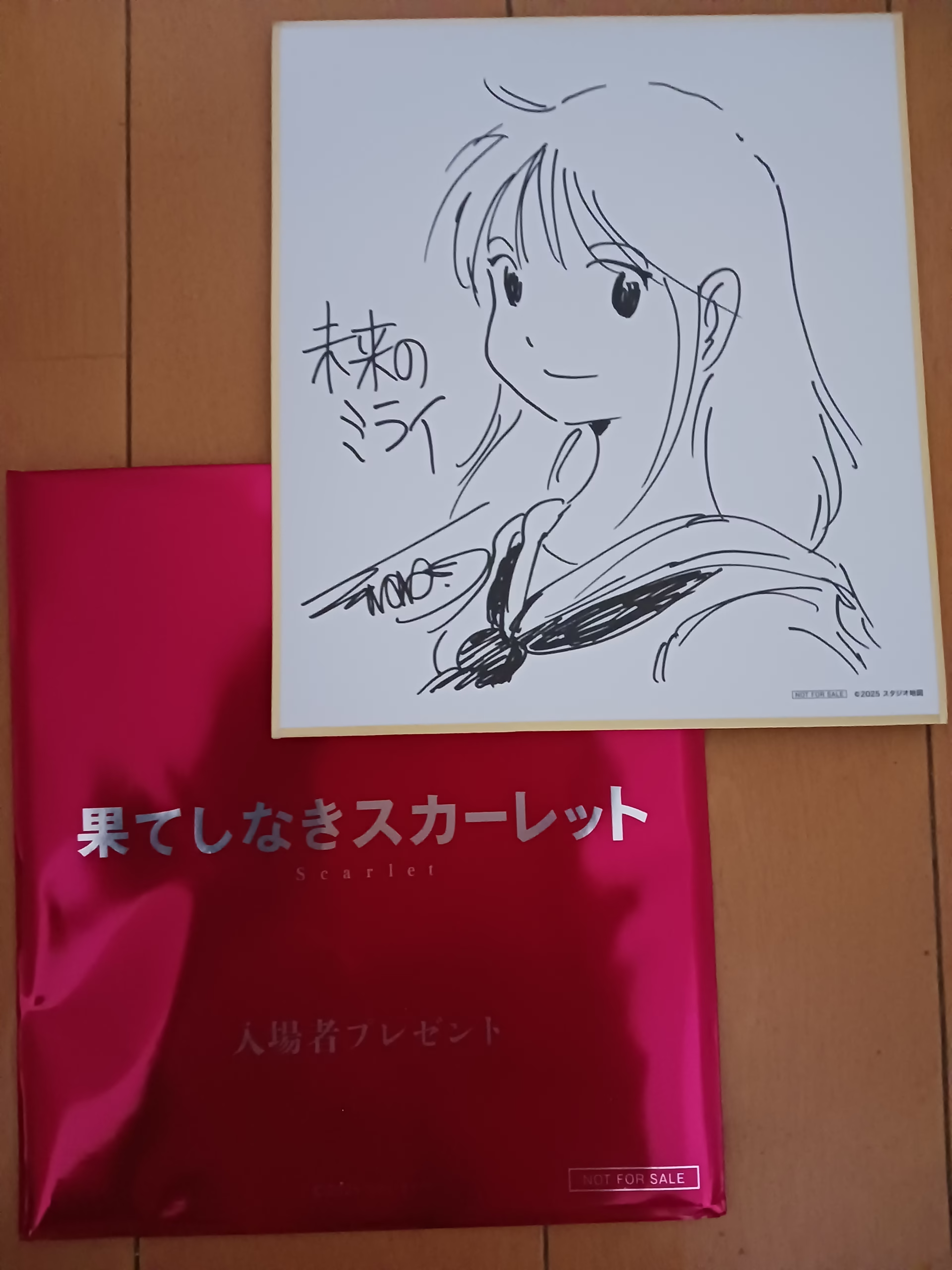 果てしなきスカーレットの画像